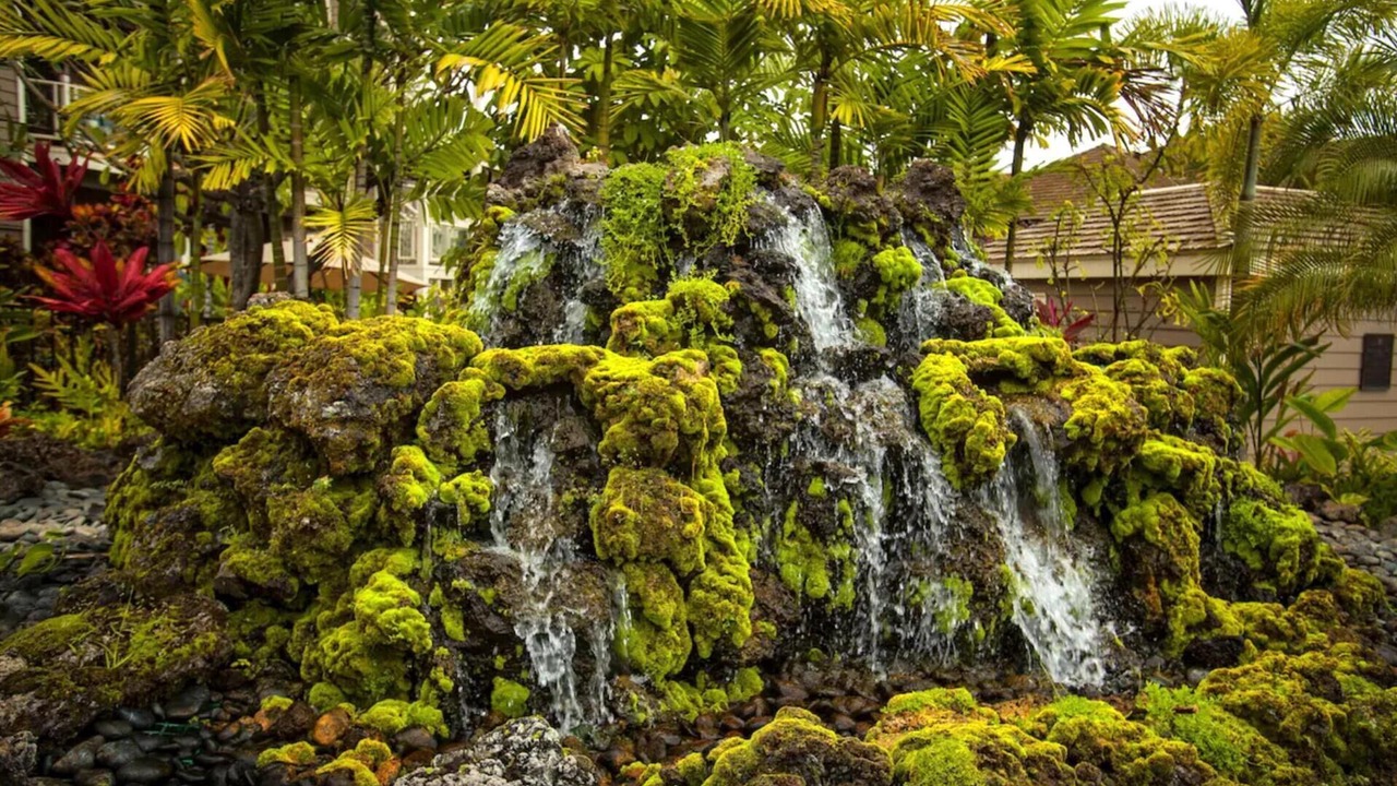 Photo of Outdoor in Wailea