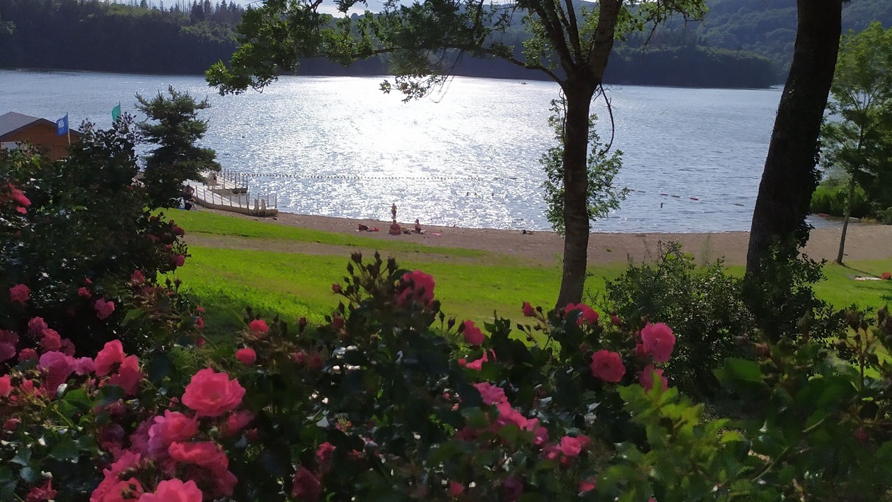 Photo of Outdoor in La Salvetat-sur-Agout