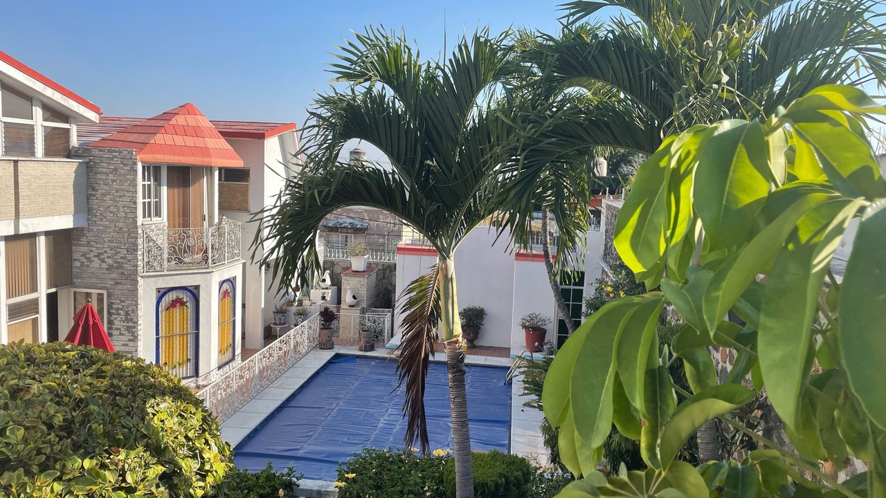 Photo of Outdoor in Jacarandas