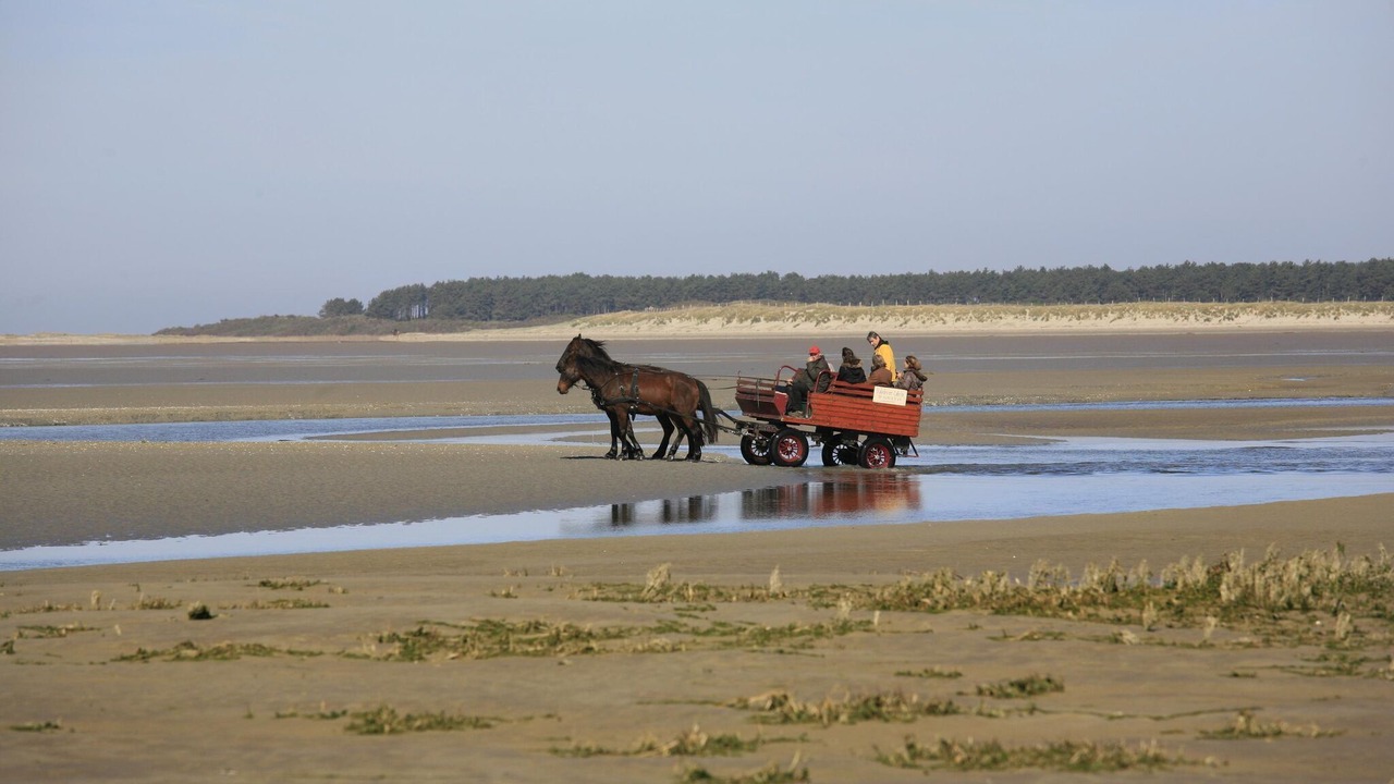Photo of Others in Cayeux-sur-Mer