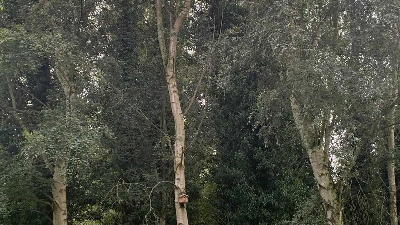 Photo of Others in Irstead