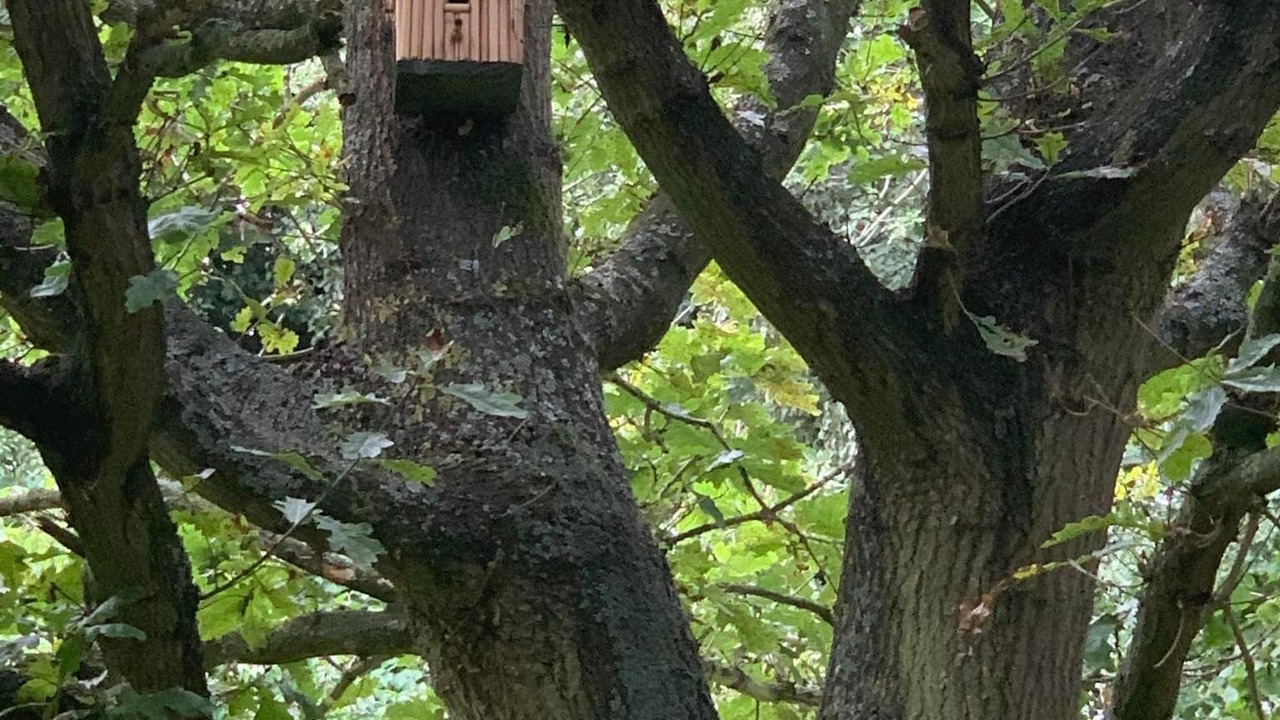 Photo of Others in Irstead