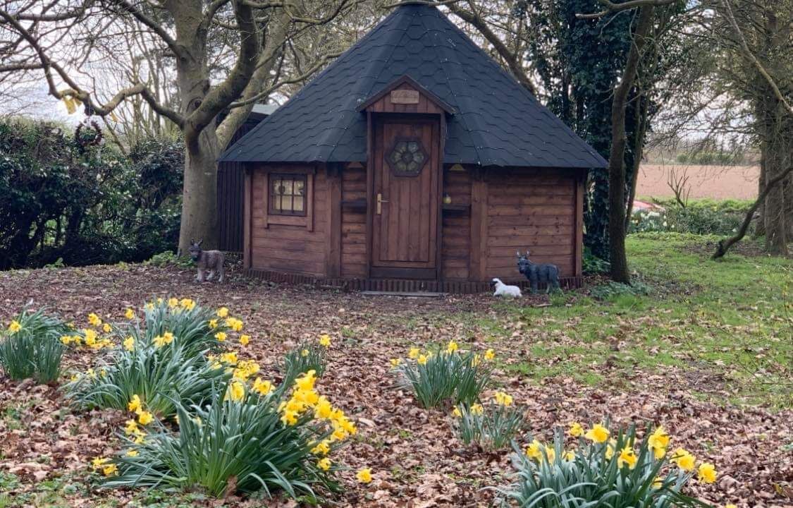 Photo of Outdoor in Irstead