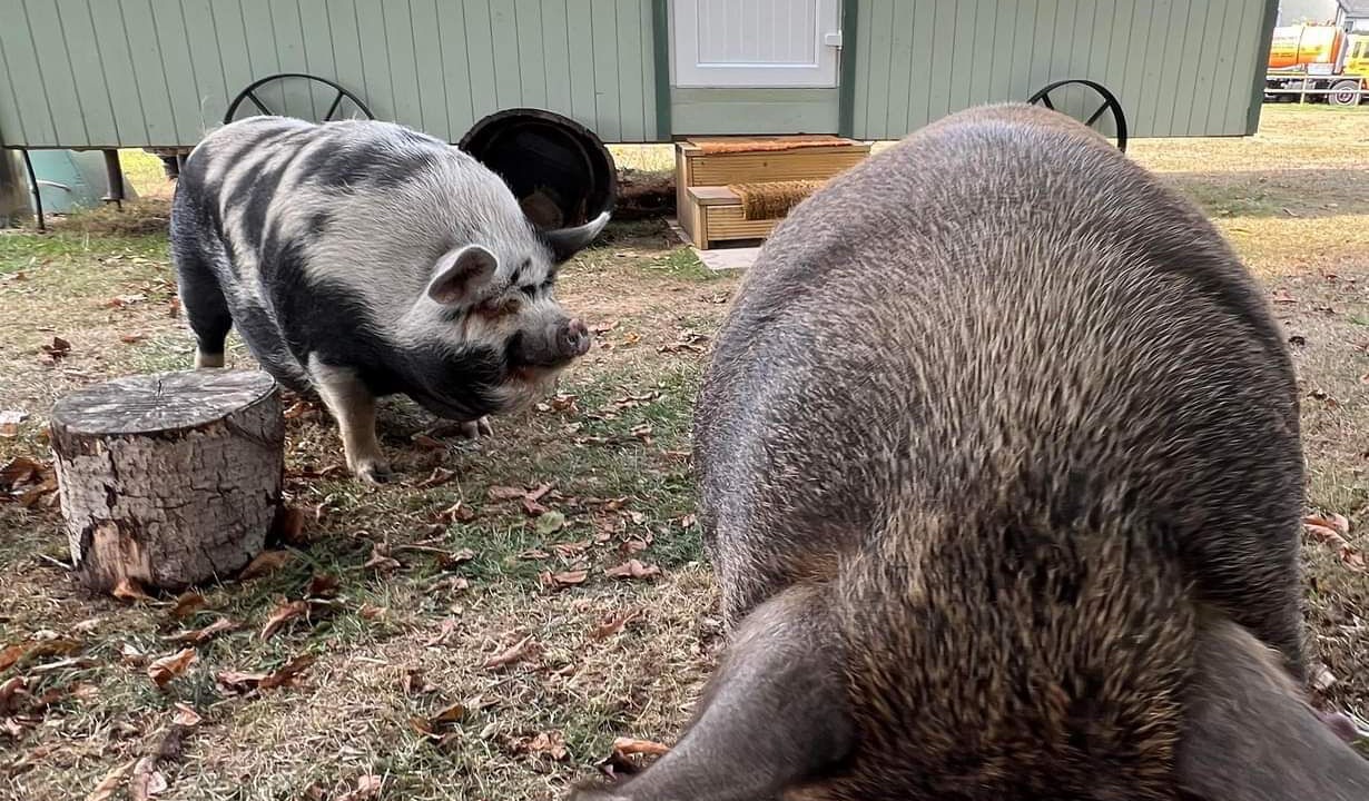 Photo of Others in Irstead