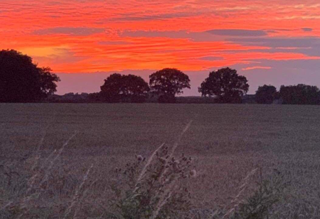 Photo of Others in Irstead