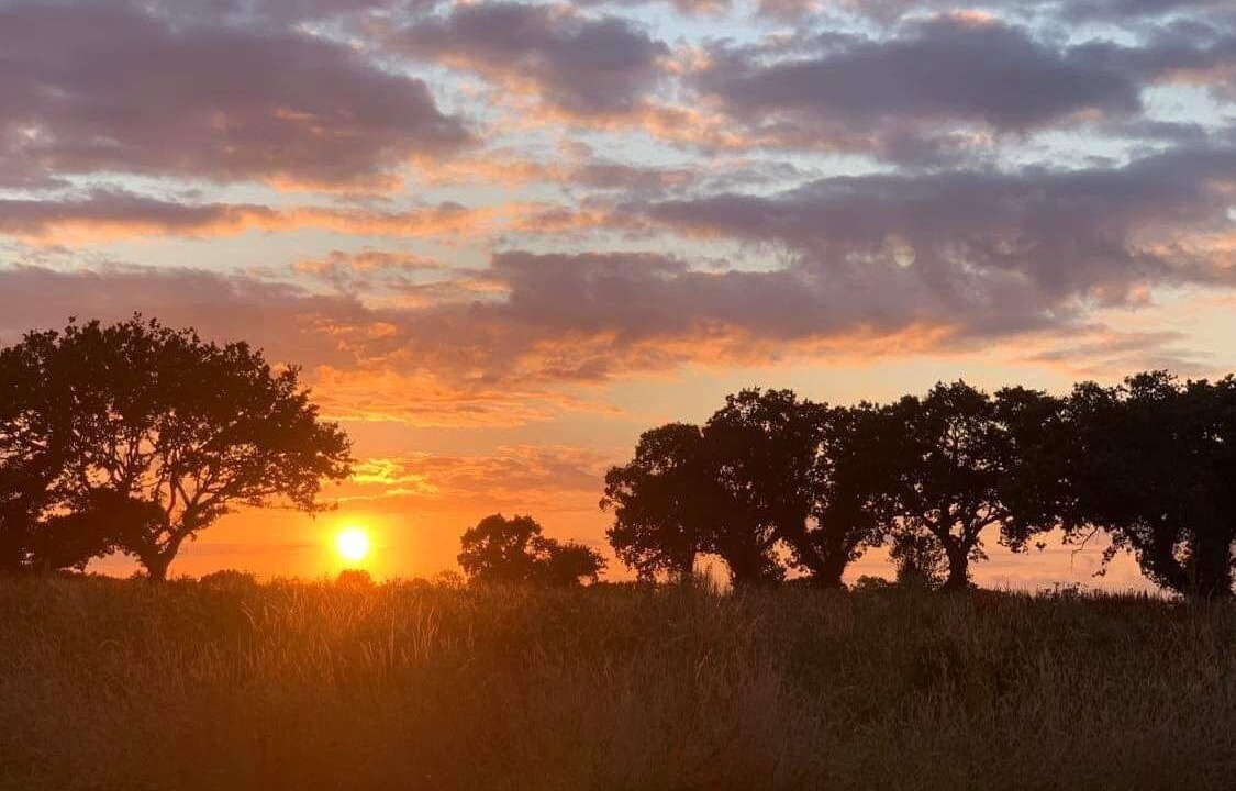 Photo of Others in Irstead