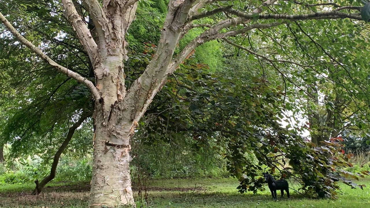 Photo of Others in Irstead