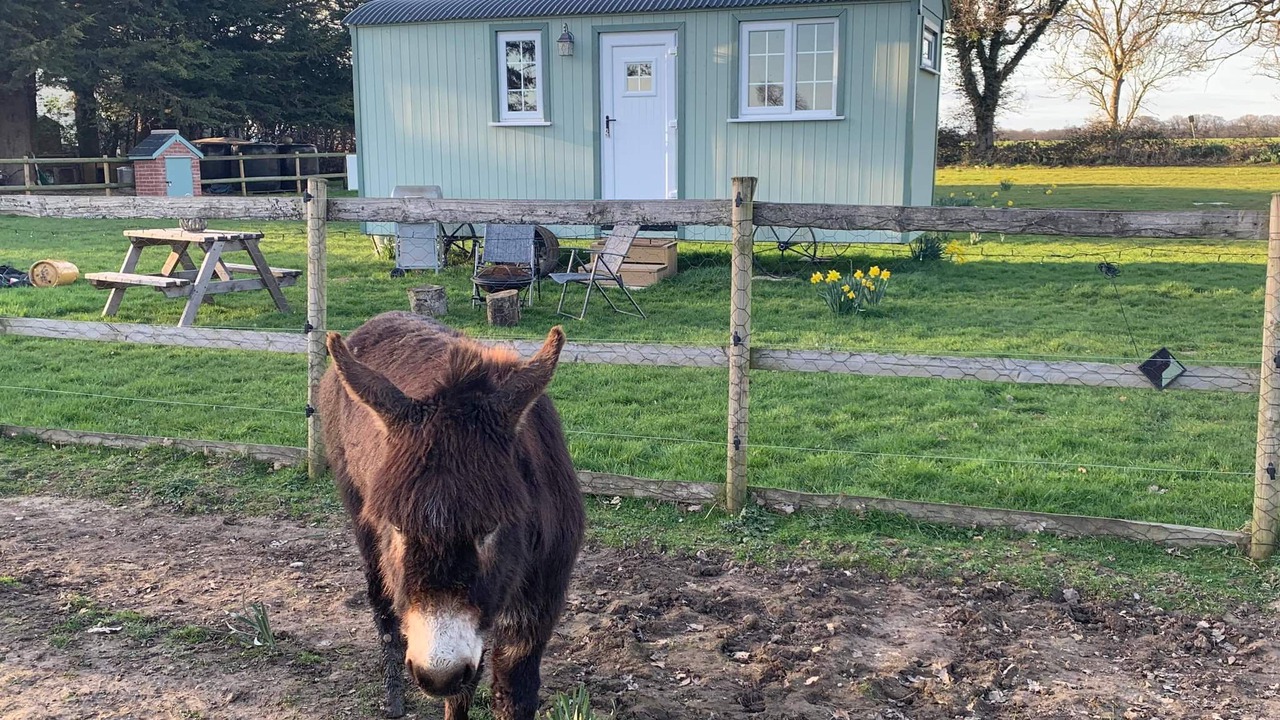 Photo of Outdoor in Irstead