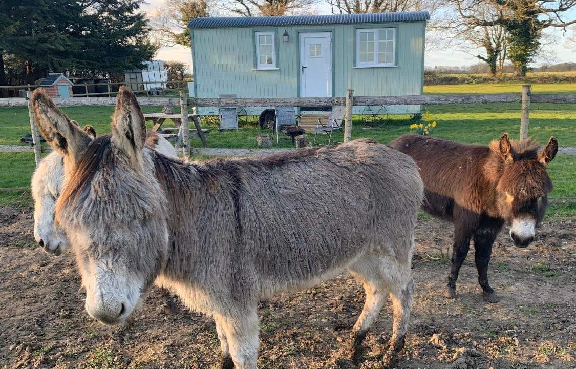 Photo of Outdoor in Irstead