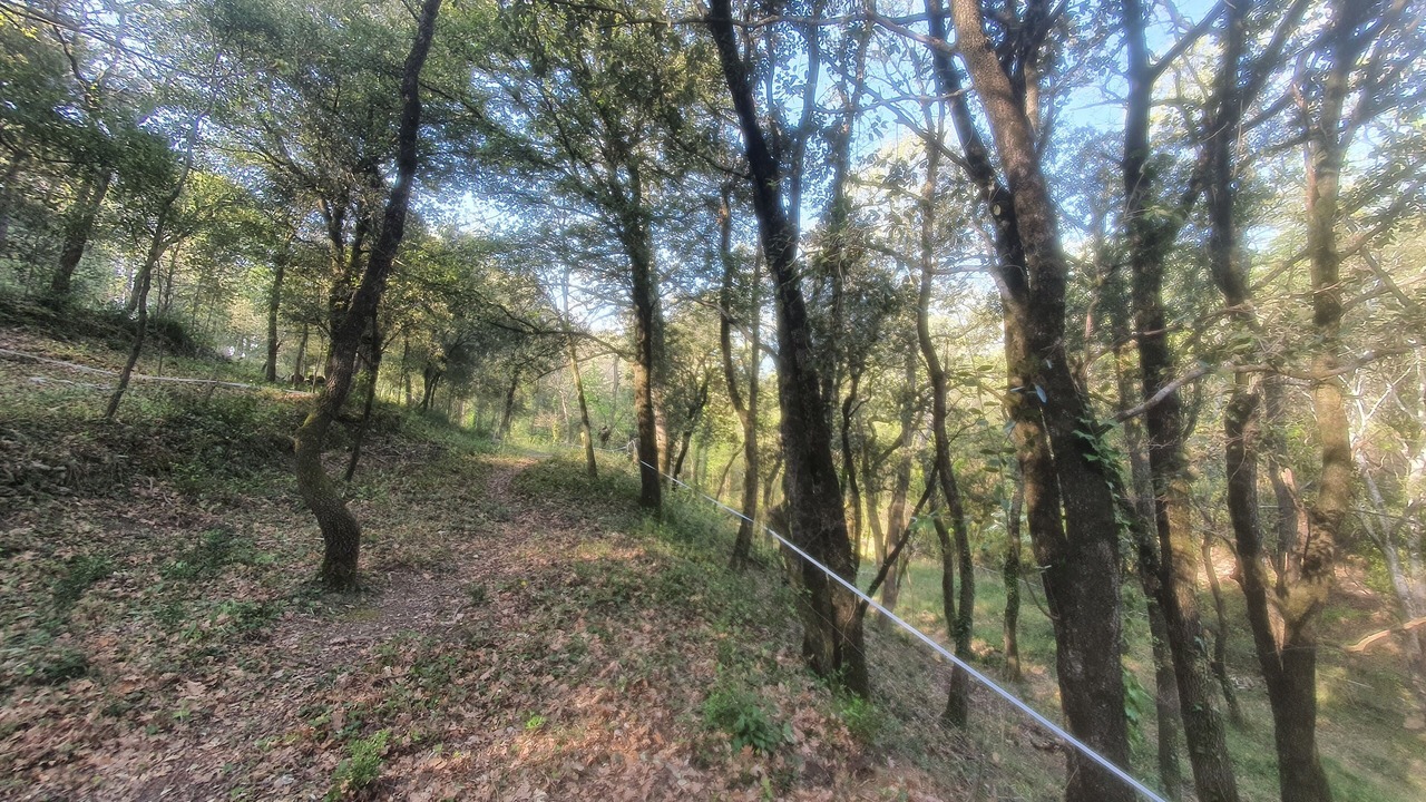 Photo of Outdoor in Le Teil