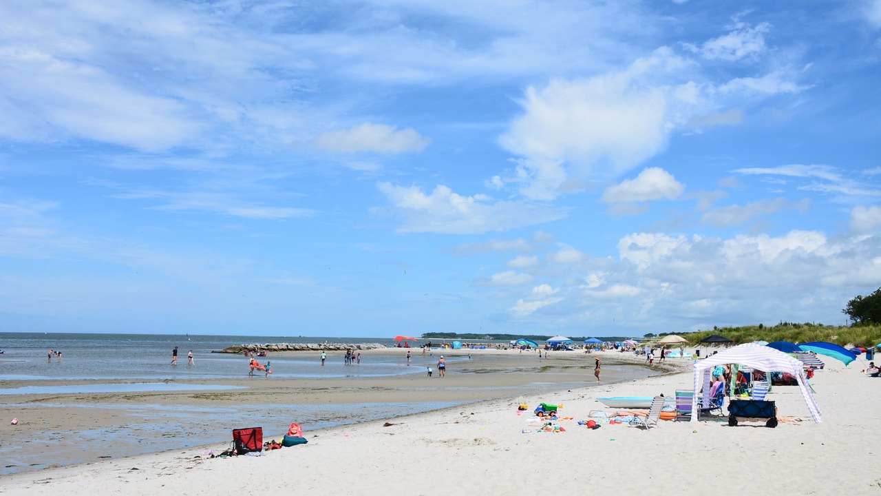 Photo of Others in Cape Charles