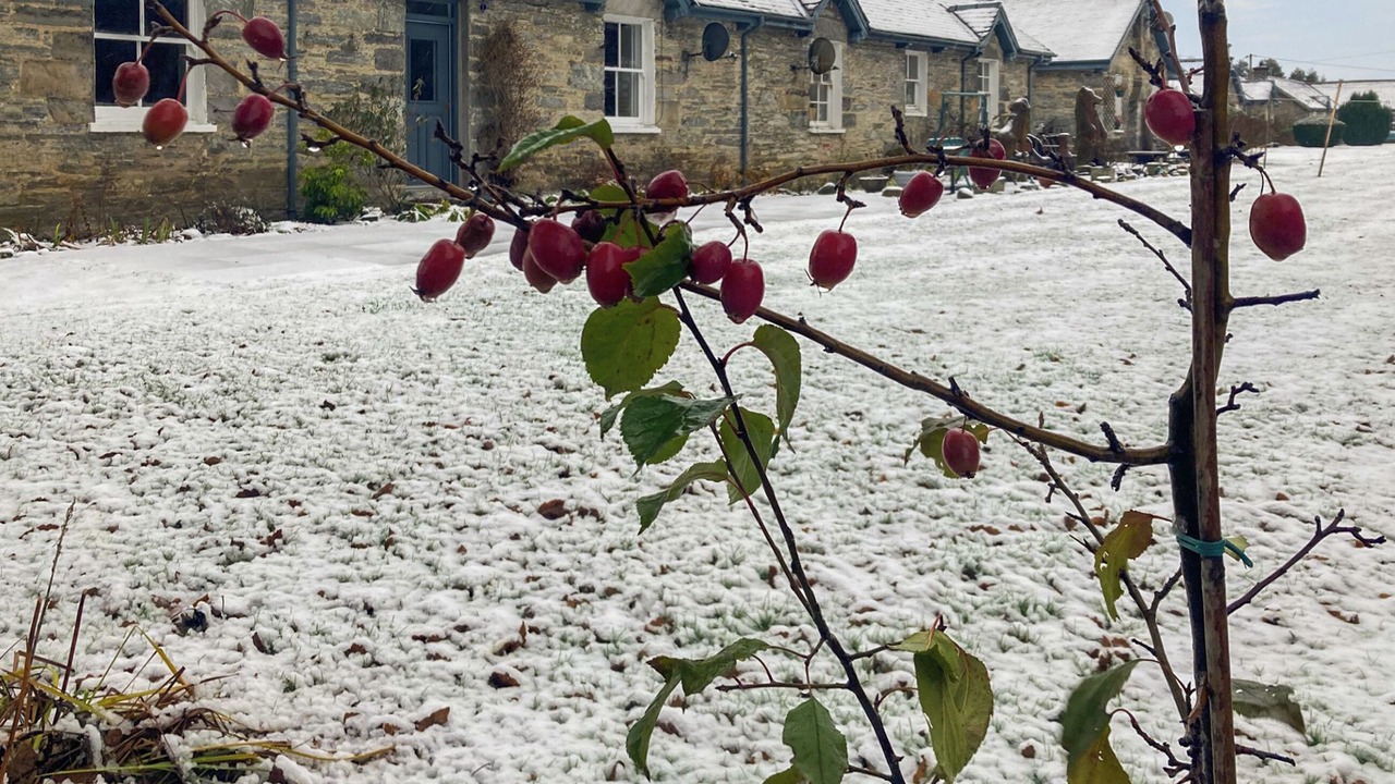 Photo of Outdoor in Blair Atholl