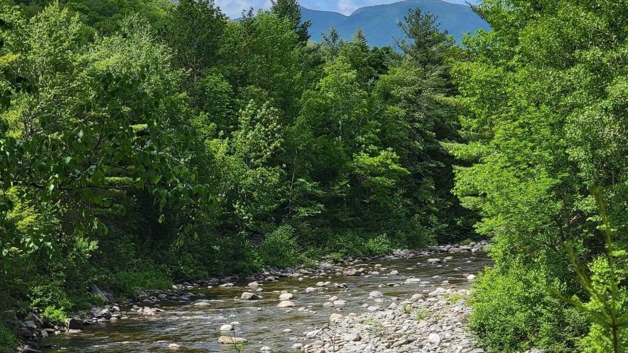 Photo of Others in Carrabassett Valley