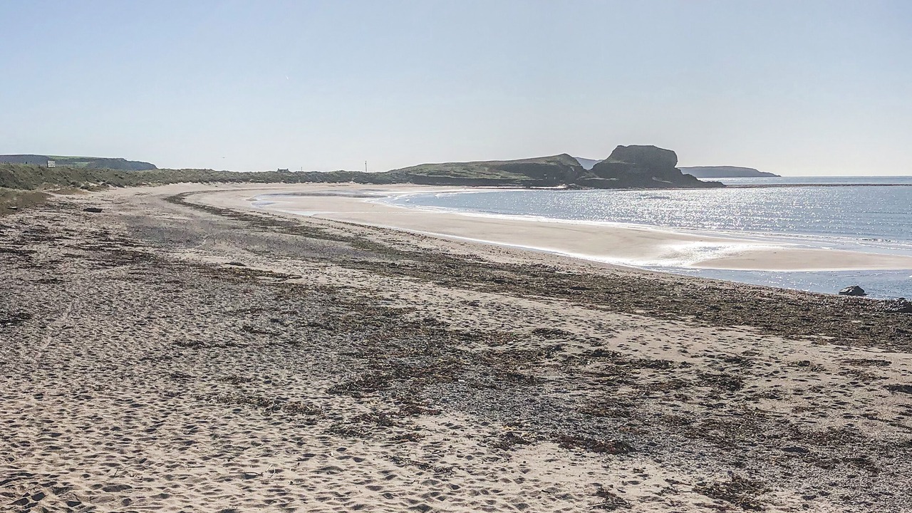 Photo of Others in Campbeltown