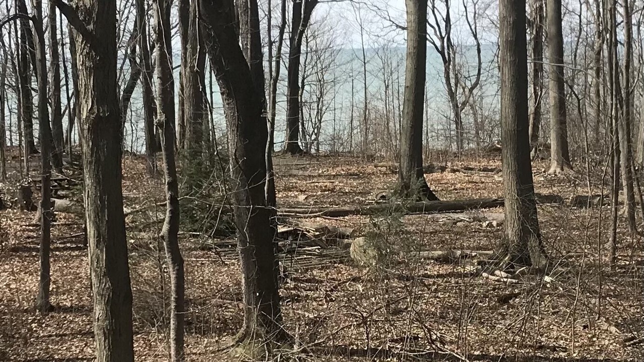 Photo of Outdoor in Westfield