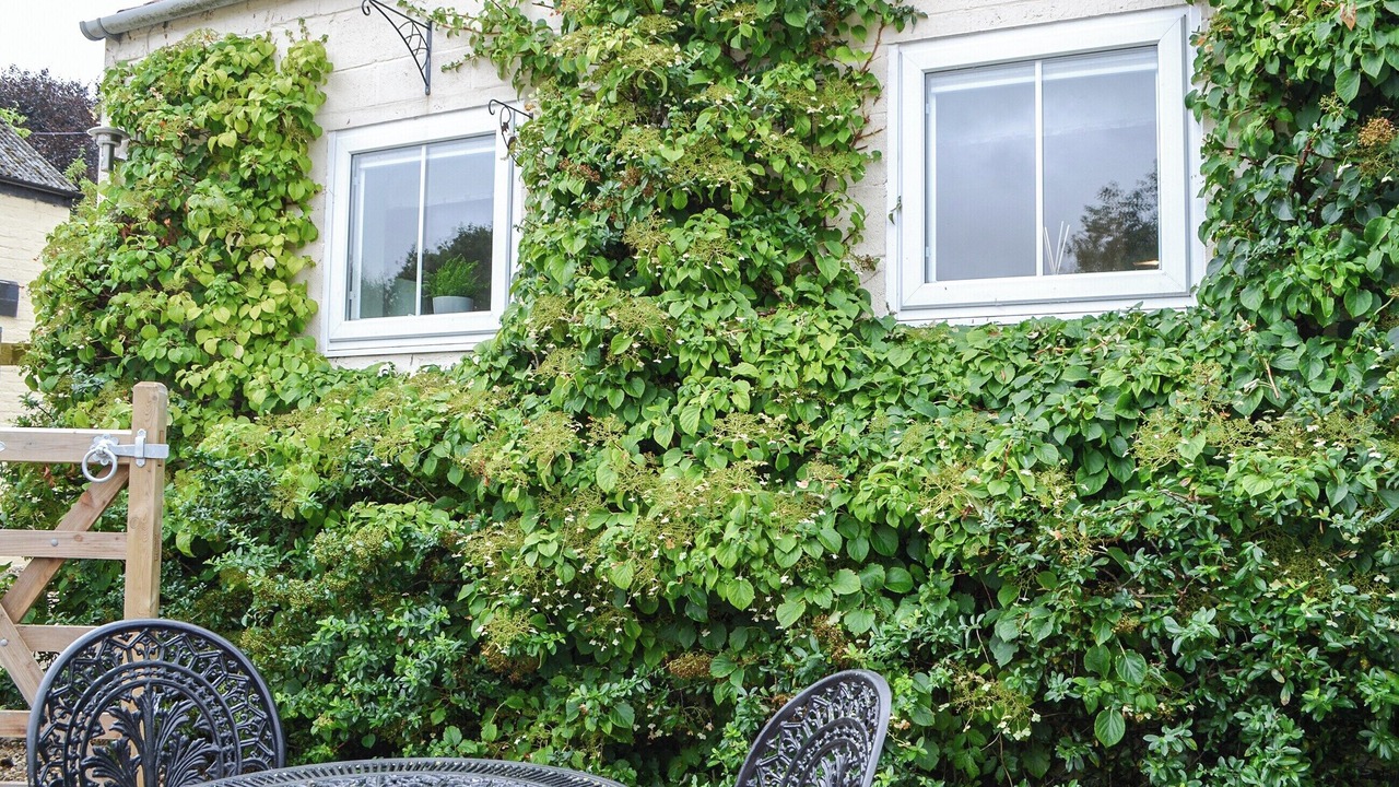 Photo of Others in Kilham