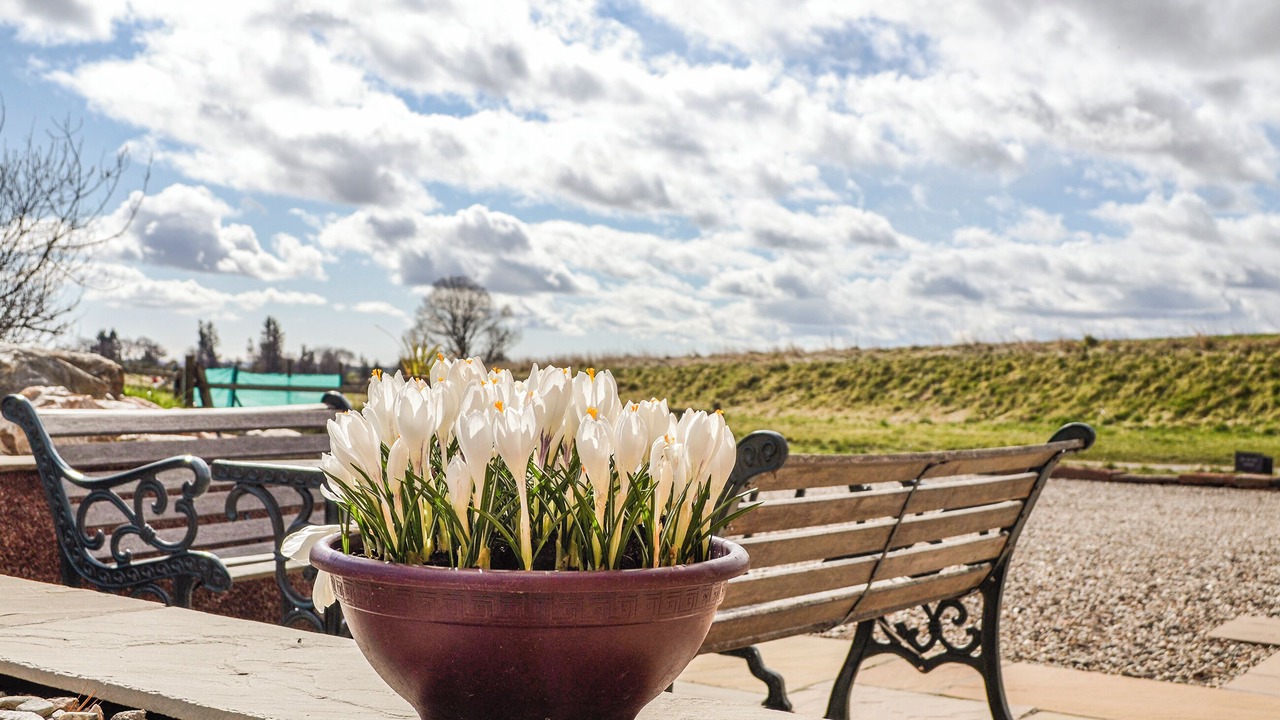 Photo of Others in Laurencekirk