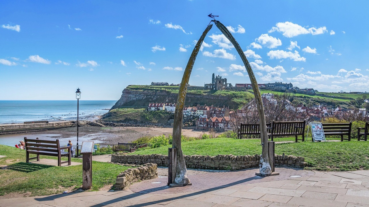 Photo of Others in West Cliff