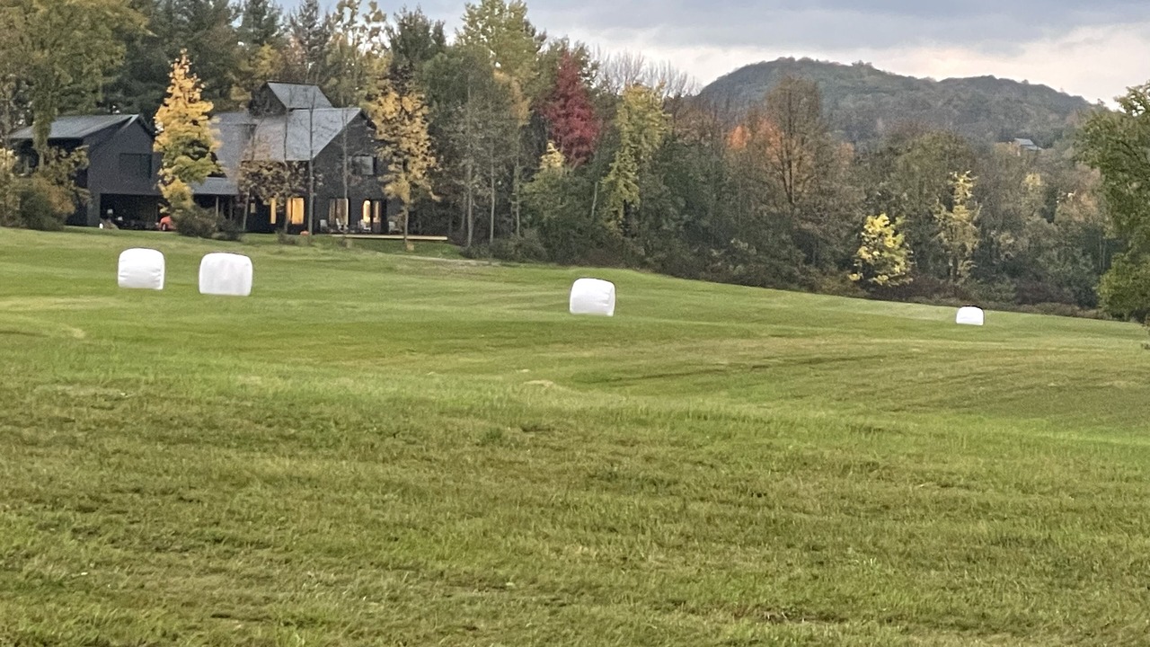 Photo of Others in Middlebury
