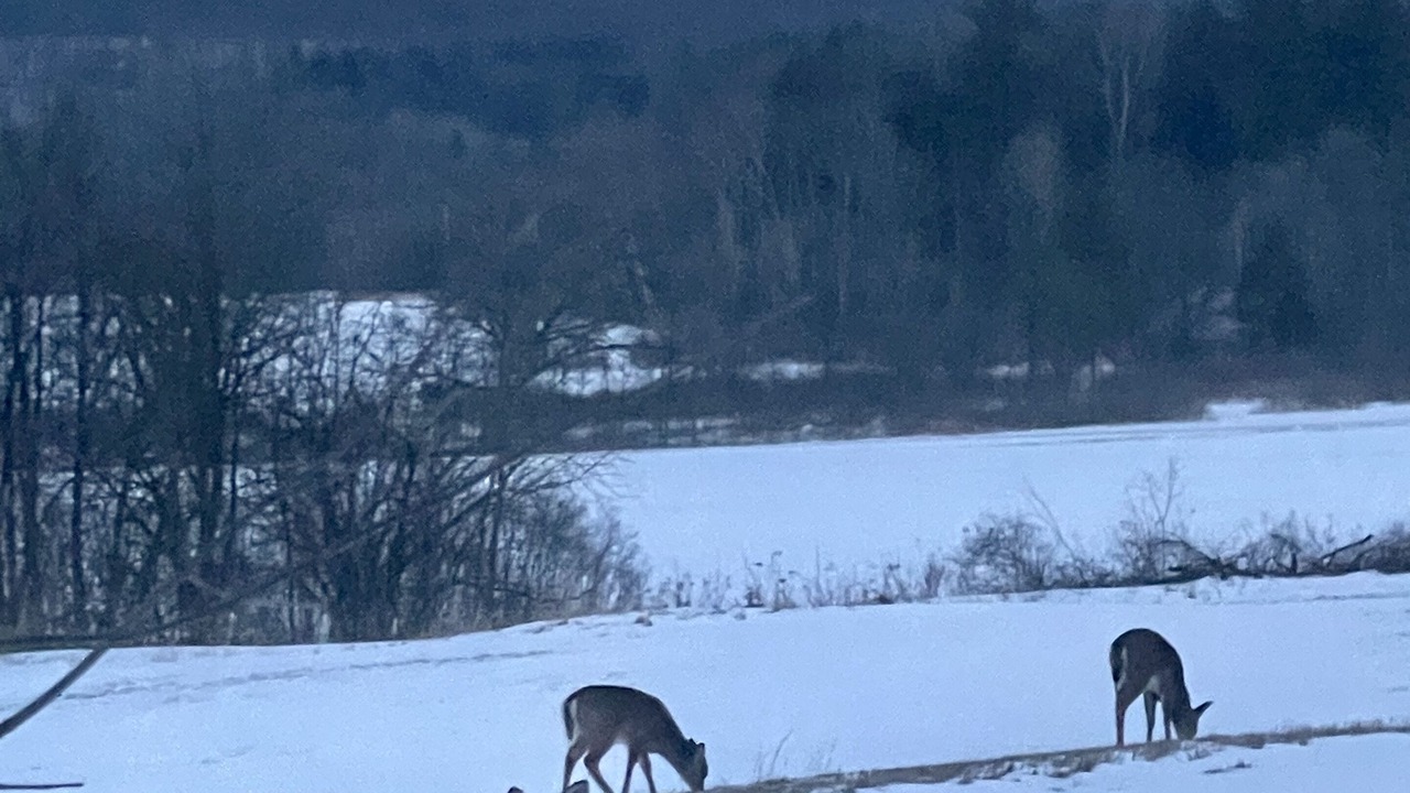 Photo of Others in Middlebury