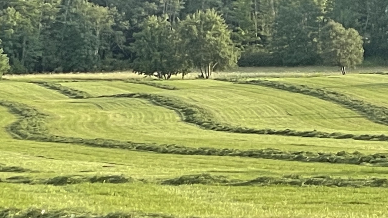 Photo of Others in Middlebury