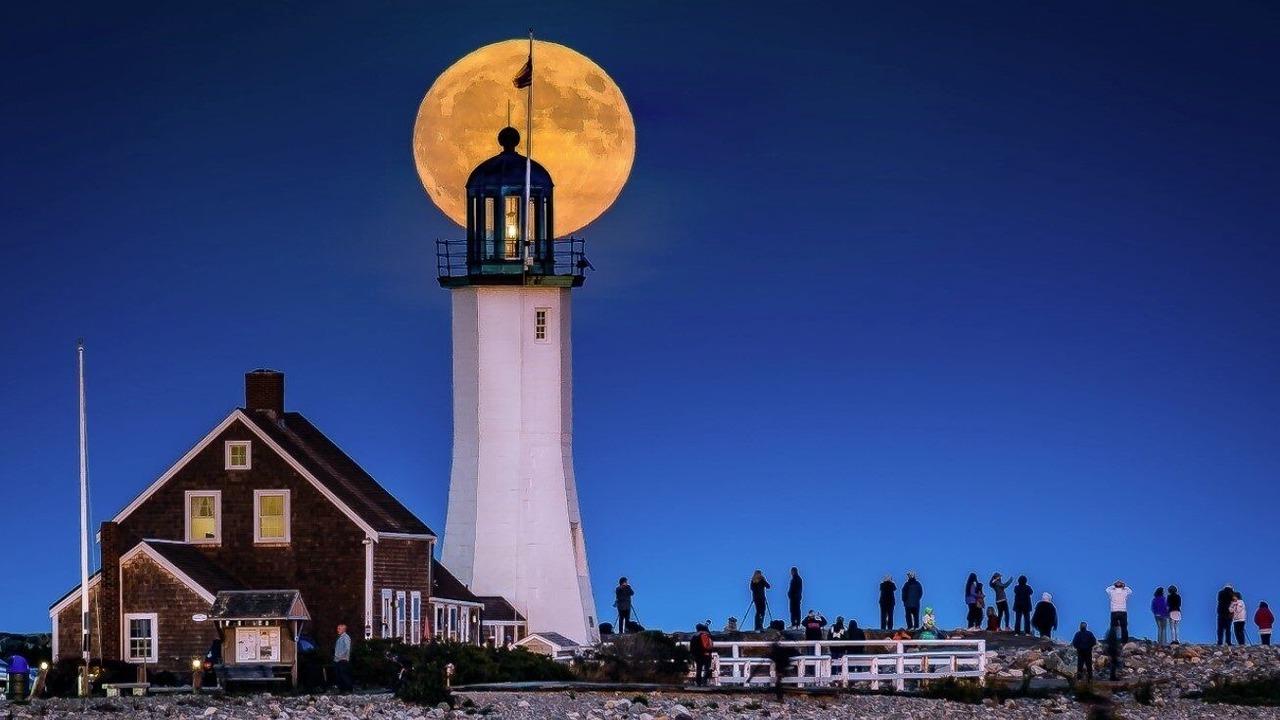 Photo of Others in Scituate