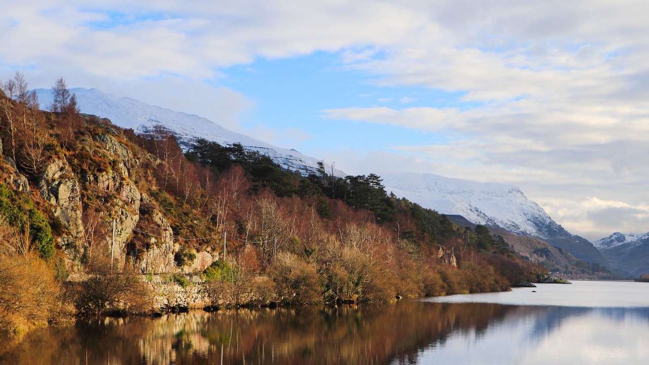 Photo of Others in Gallt Y Foel