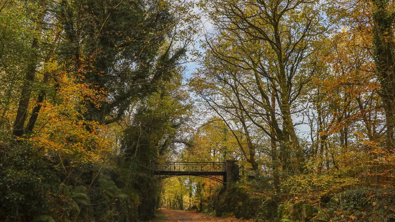 Photo of Outdoor in Gallt Y Foel