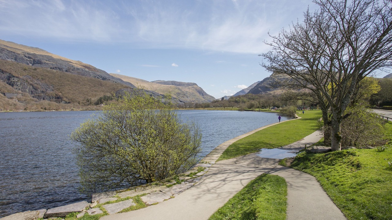 Photo of Others in Gallt Y Foel