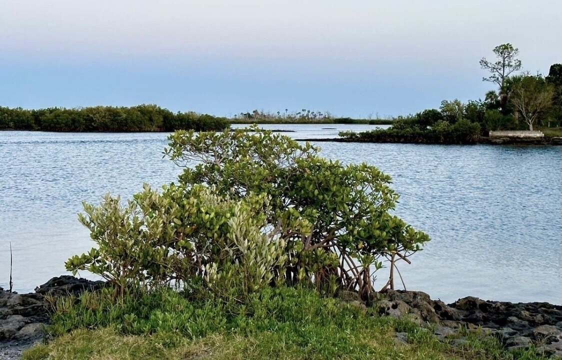 Photo of Outdoor in Homosassa