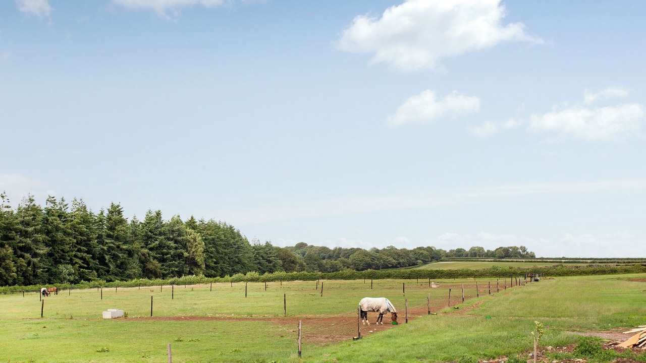 Photo of Others in Honiton