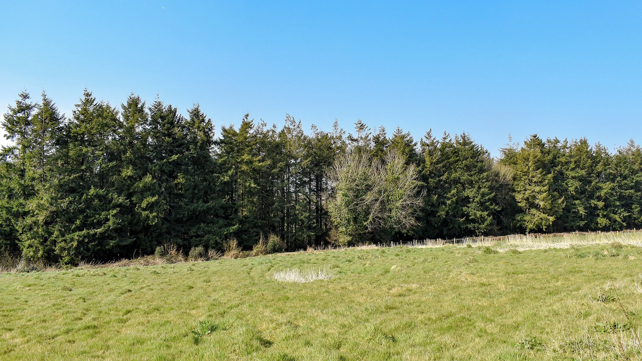 Photo of Outdoor in Honiton