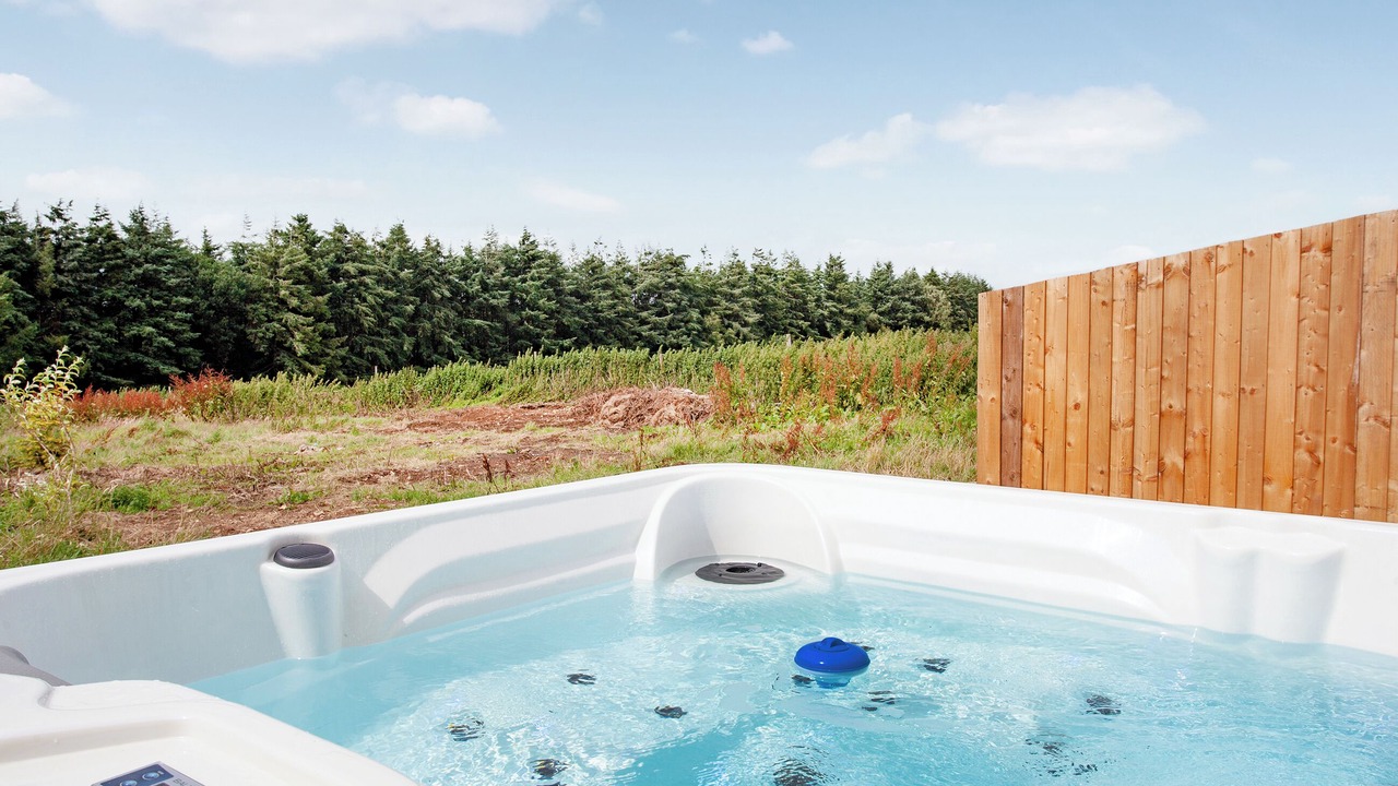 Photo of Others in Honiton