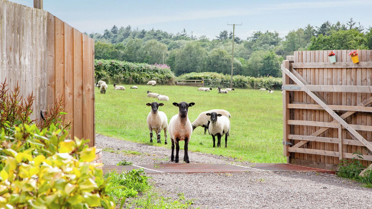 Photo of Others in Honiton