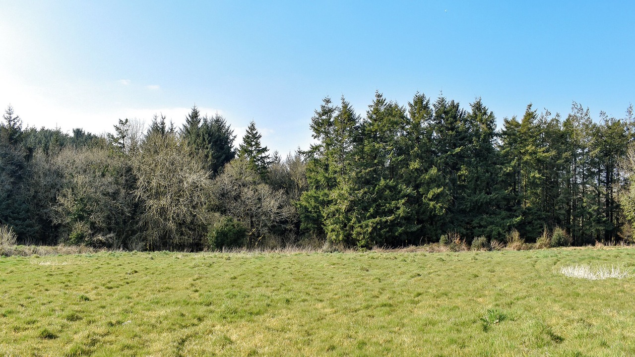 Photo of Outdoor in Honiton