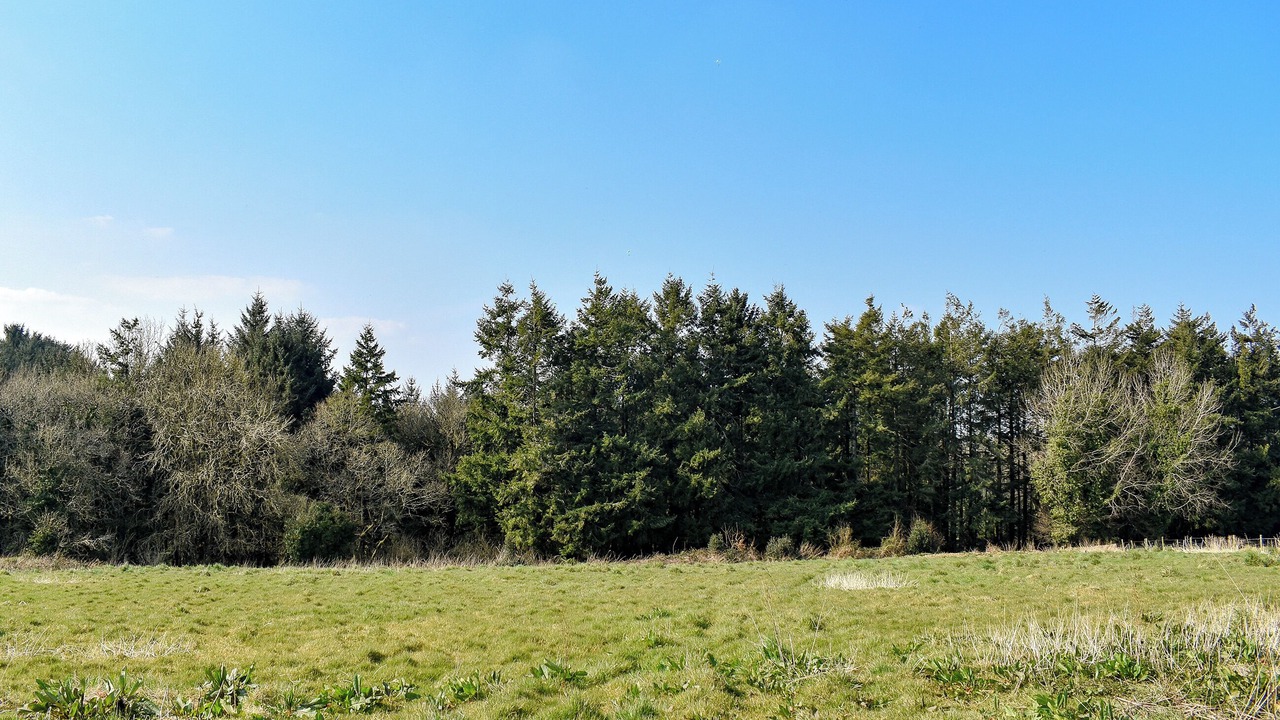 Photo of Outdoor in Honiton