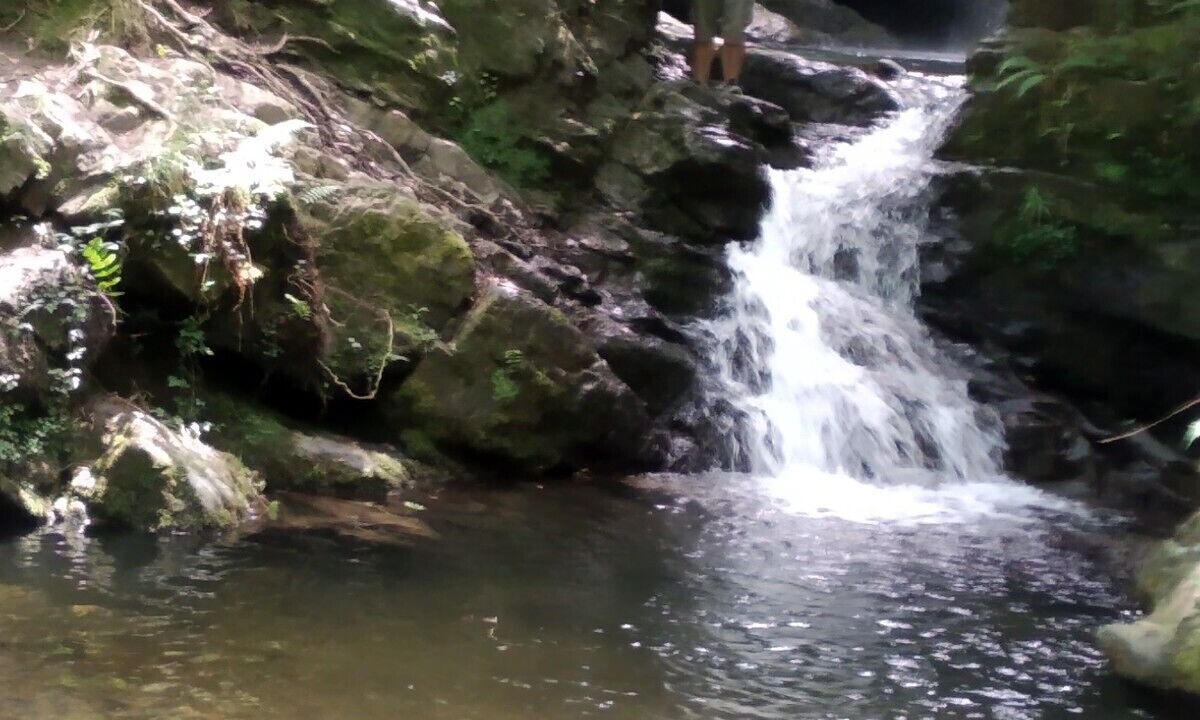 Photo of Outdoor in Marina de Cudeyo