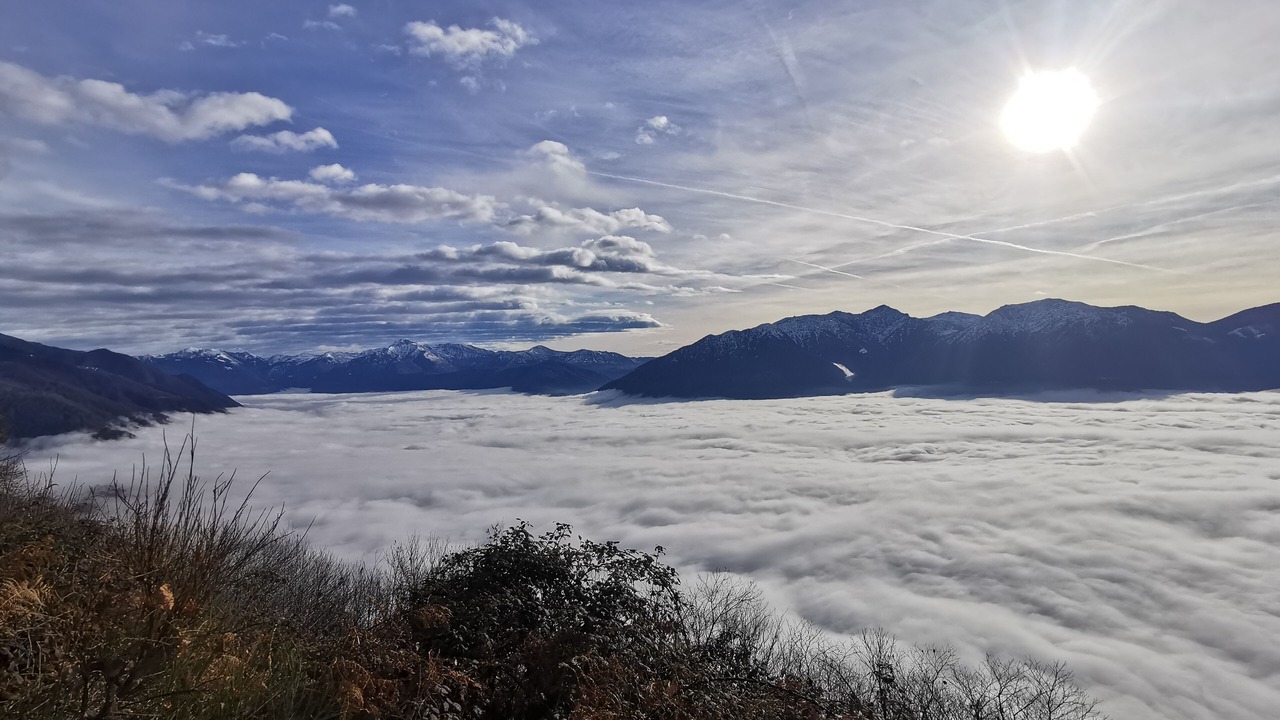 Photo of Others in Locarno