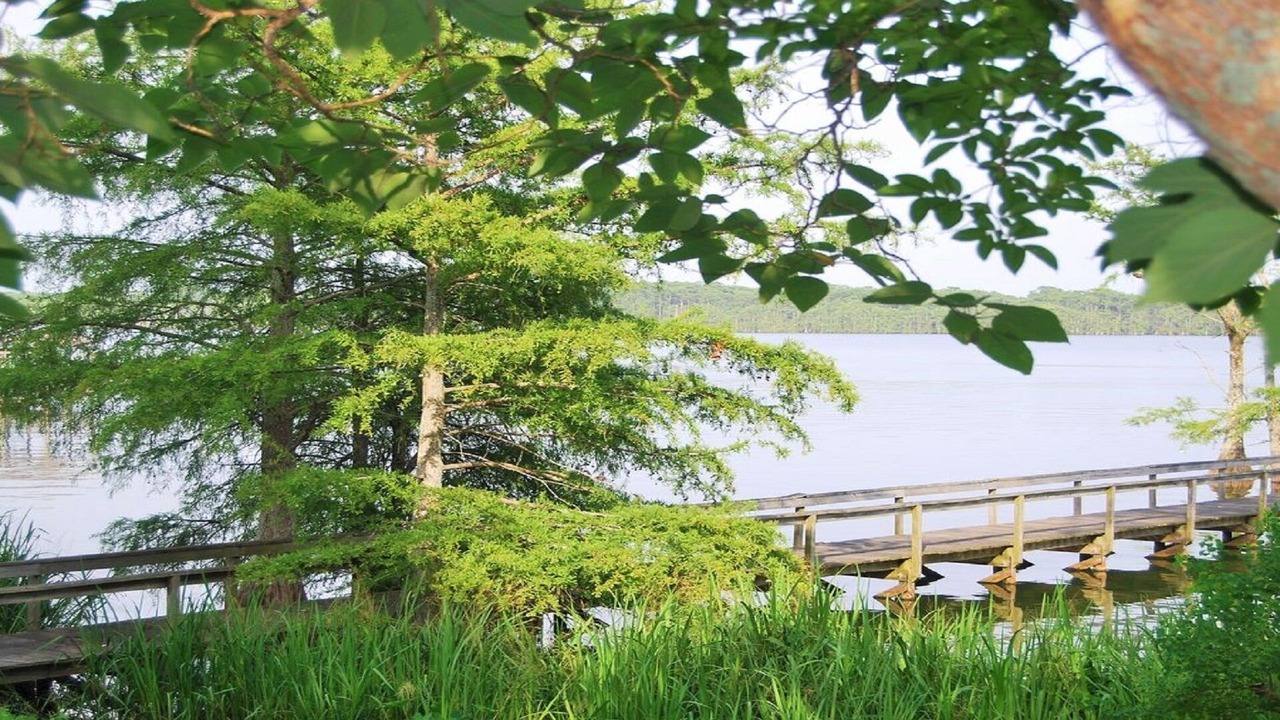 Photo of Outdoor in Ferriday