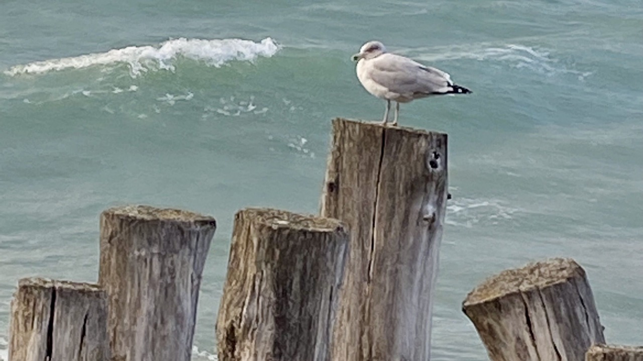 Photo of Others in Caulnes