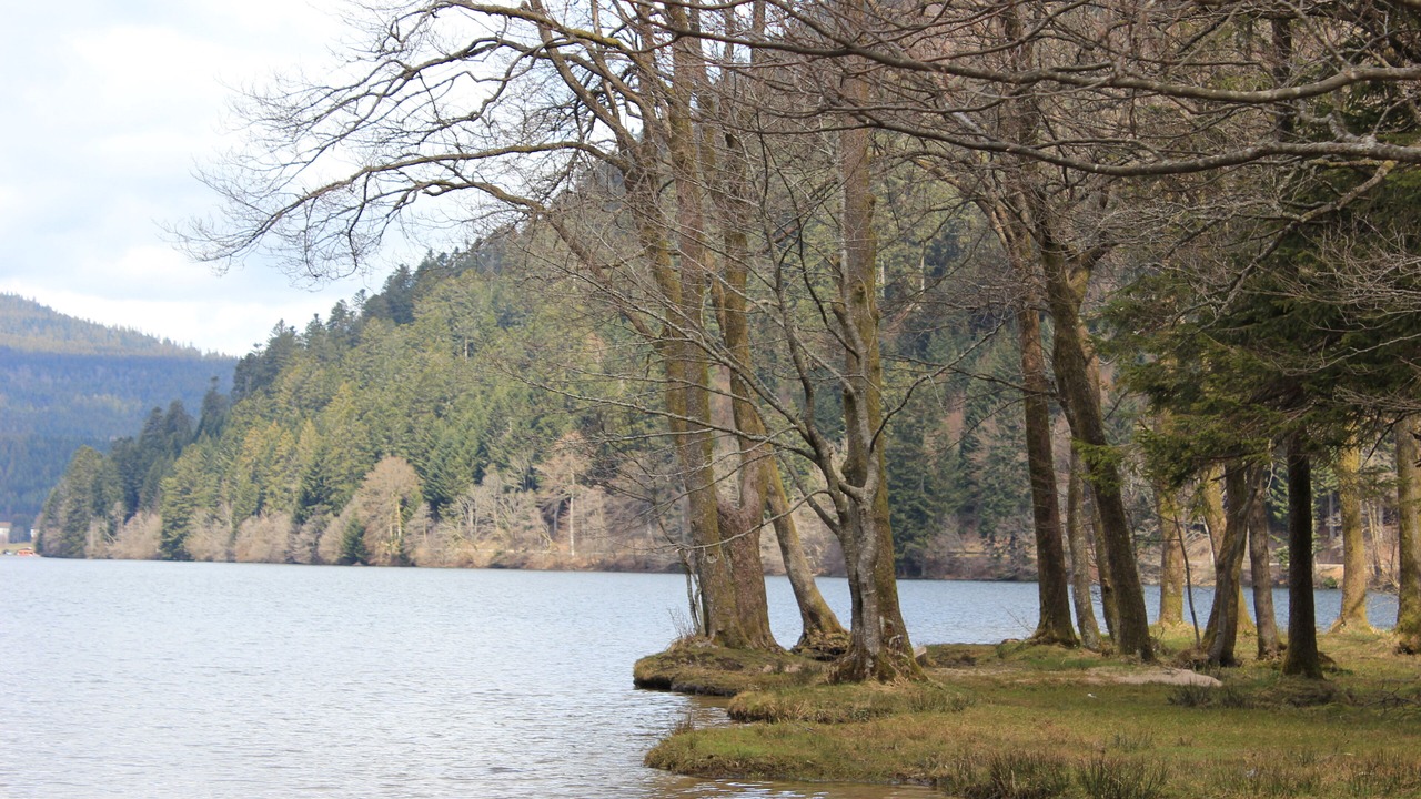 Photo of Outdoor in Saint Joseph/Mittelharth