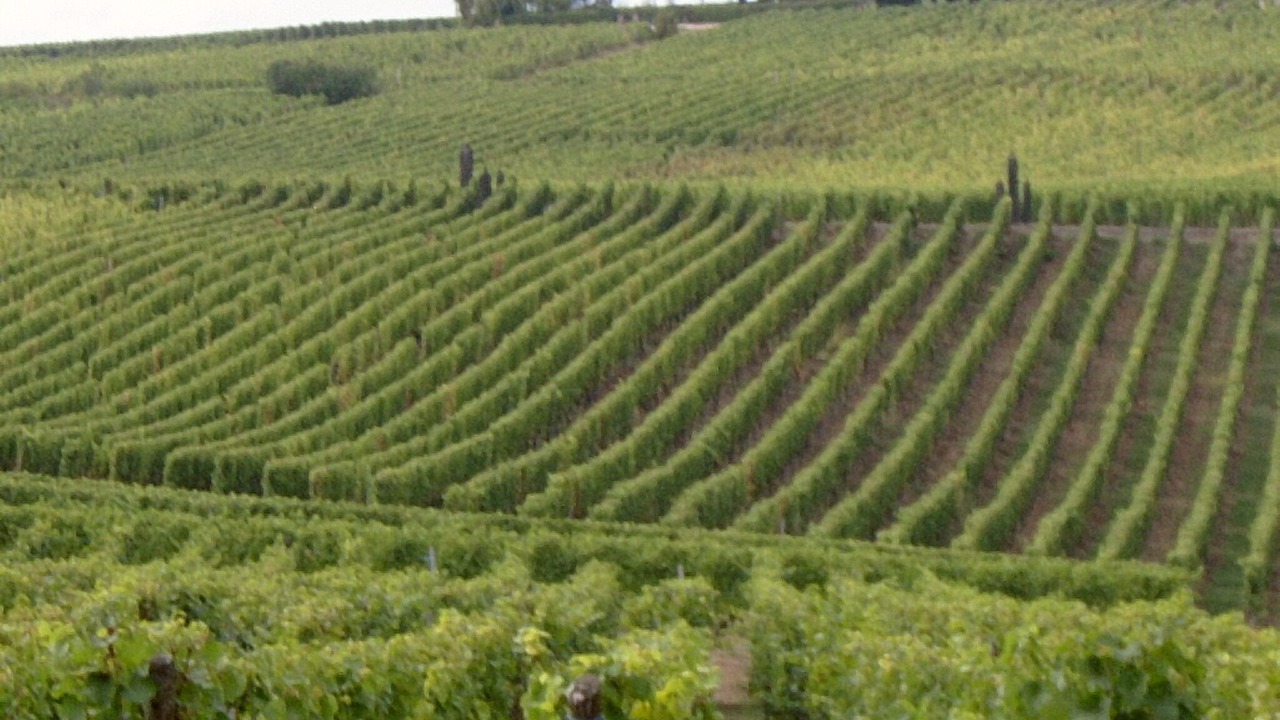 Photo of Outdoor in Saint Joseph/Mittelharth