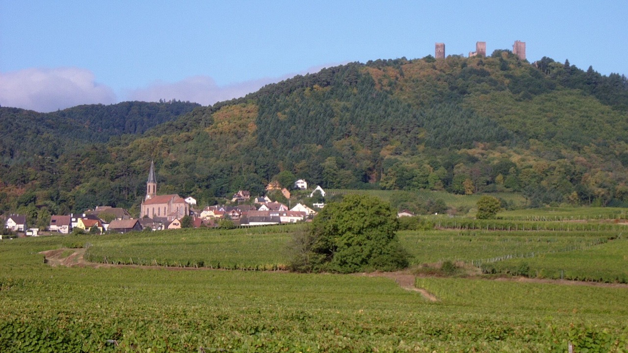 Photo of Outdoor in Saint Joseph/Mittelharth