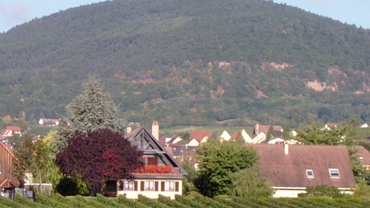 Photo of Outdoor in Saint Joseph/Mittelharth