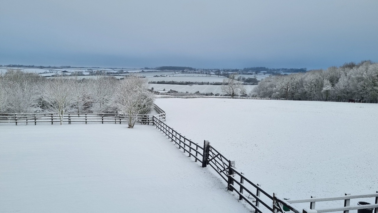 Photo of Others in Scalford