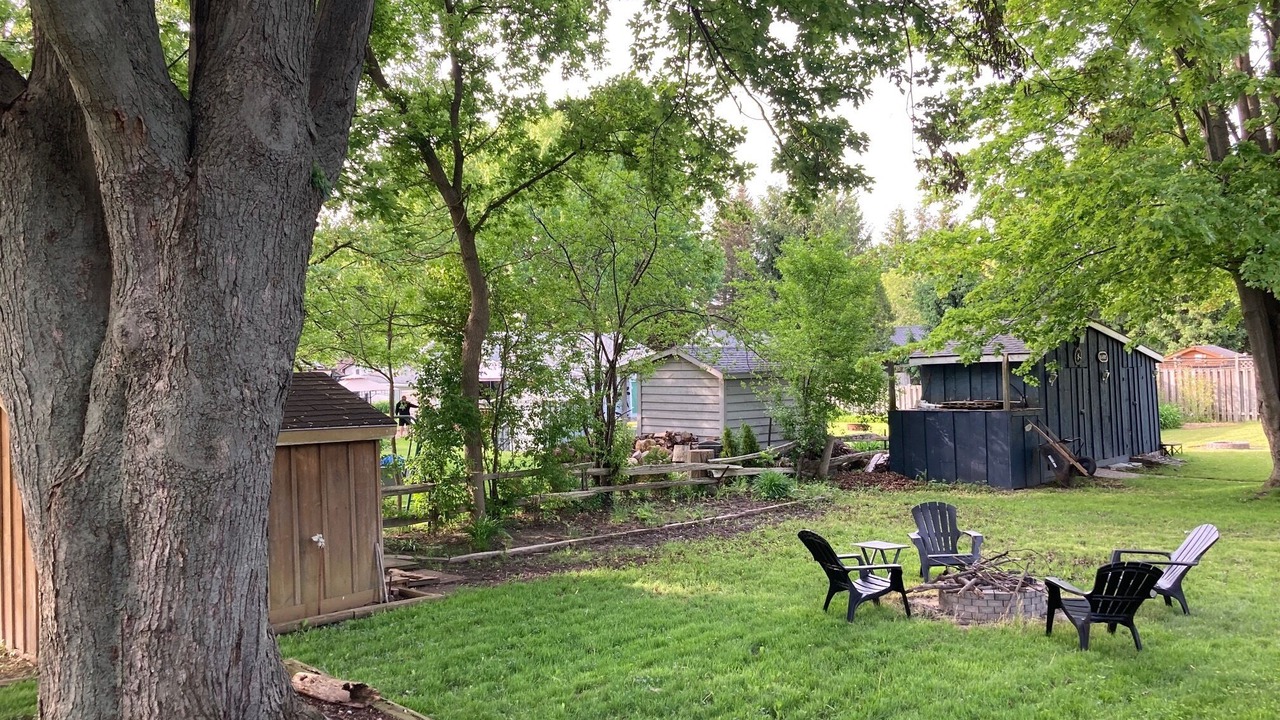 Photo of Outdoor in Dashwood