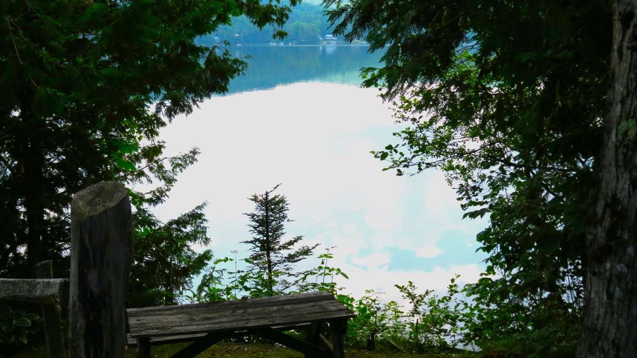Photo of Outdoor in West Glover