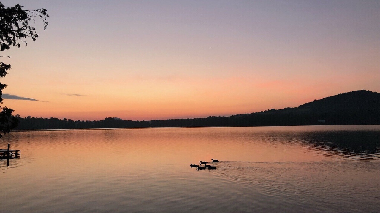 Photo of Others in West Glover