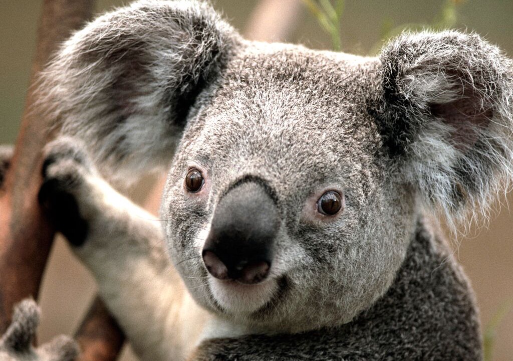 Photo of Others in Chamblee