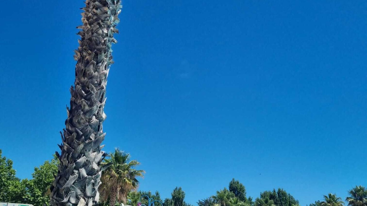 Photo of Others in Vias